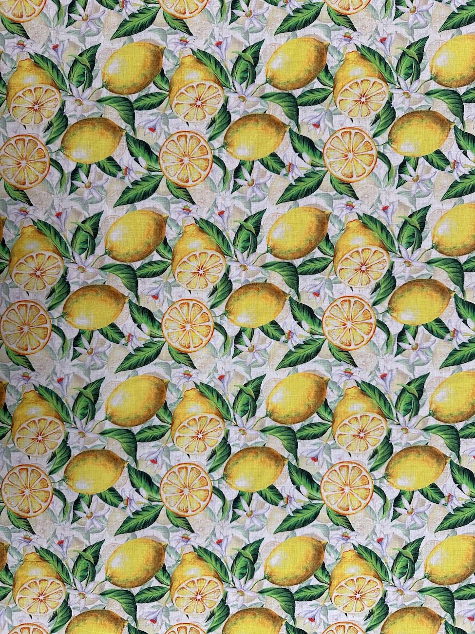 Poplin in Cotone